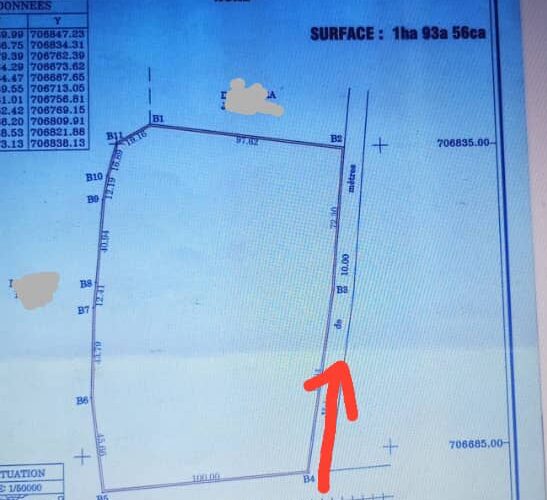 Deux hectares en angle de rue avec le TF personnel à ouidah agonkanmey