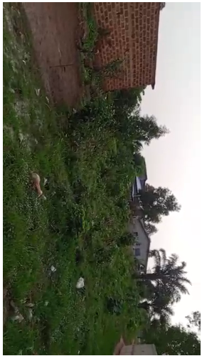 Deux parcelles de 500 m² à vendre à Hêvié Dénou