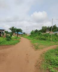 Parcelles de 350 m² situées à Tori Gare, à environ 2,5 km de la voie goudronnée.