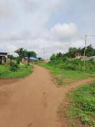 Parcelles de 350 m² situées à Tori Gare, à environ 2,5 km de la voie goudronnée.