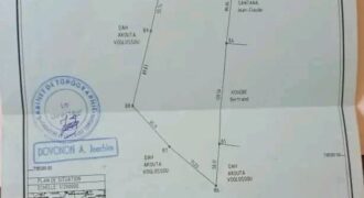 Hectare a tori bossito centre quartier hekandji