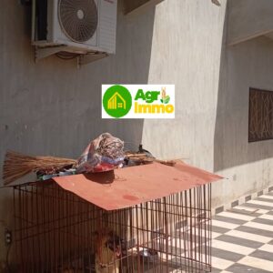 WhatsApp Image 2026-04-15 at 4.16.29 PM (2)