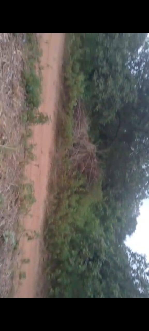 ketou idigny à vendre 2 hectares