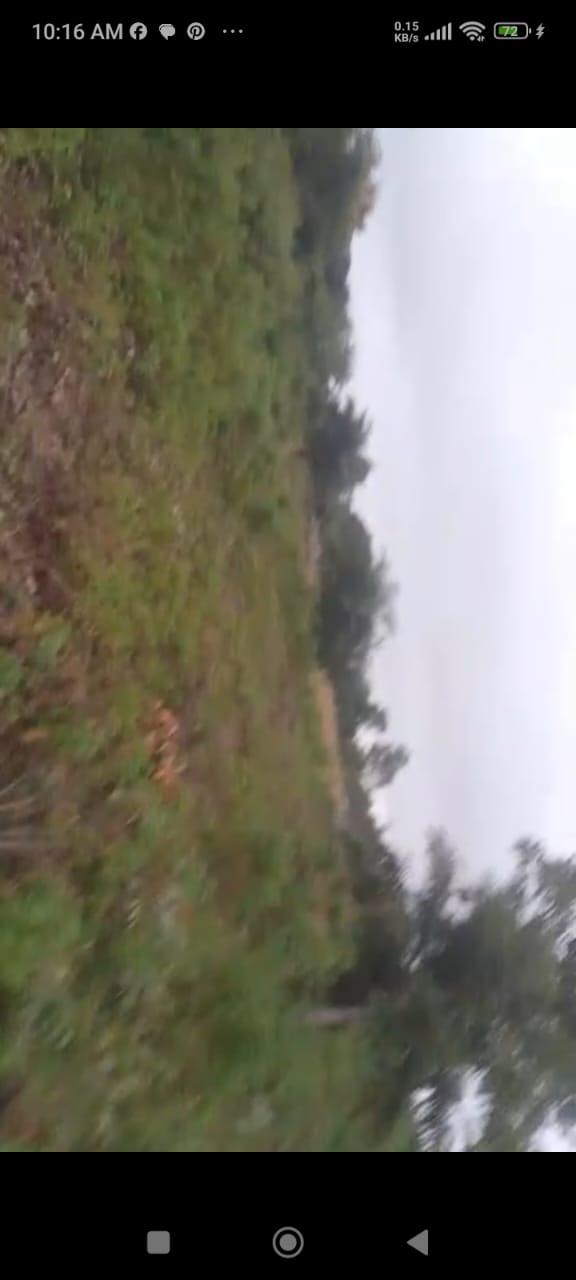 ketou idigny à vendre 2 hectares