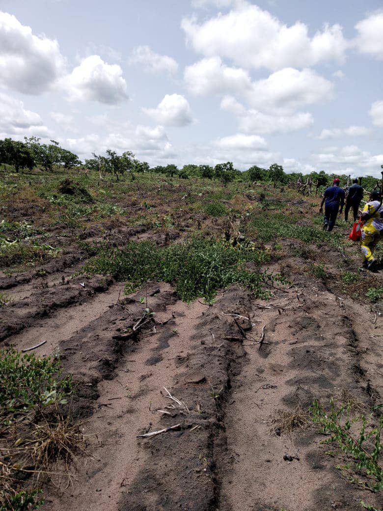 Ketou effeoute 20 Hectares avec adc