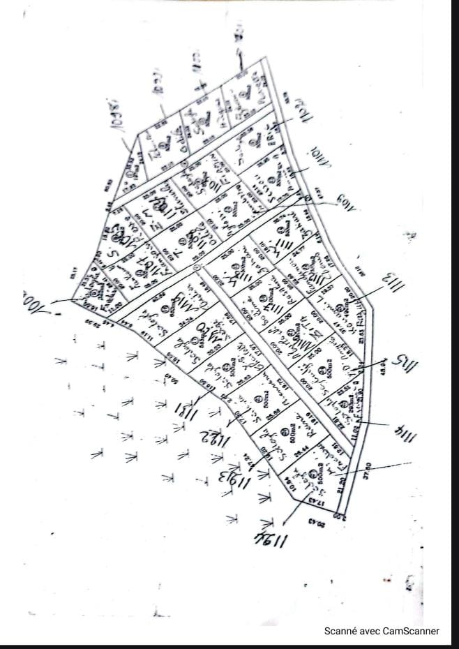 HEVIE A DJEGANTO PARCELLE DE 500M²